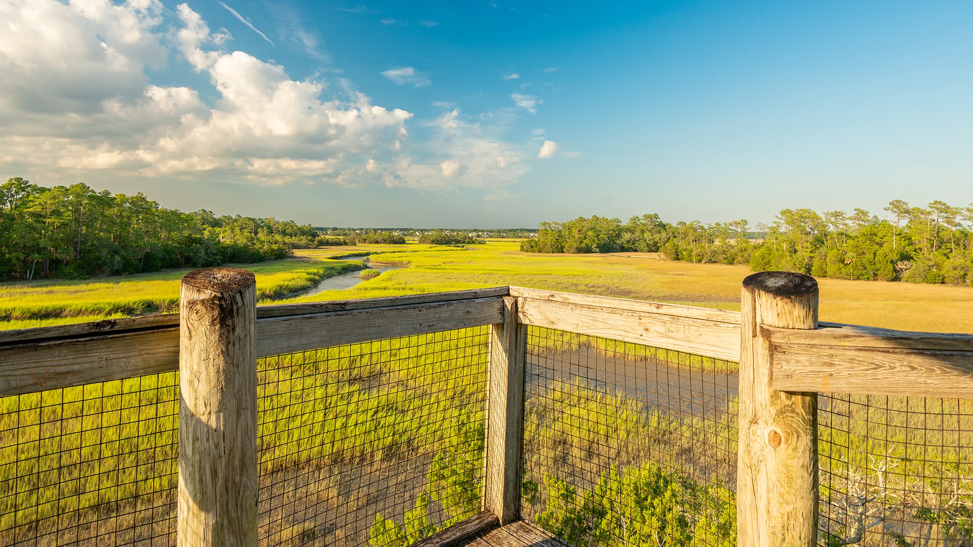 Palmetto Islands County Park