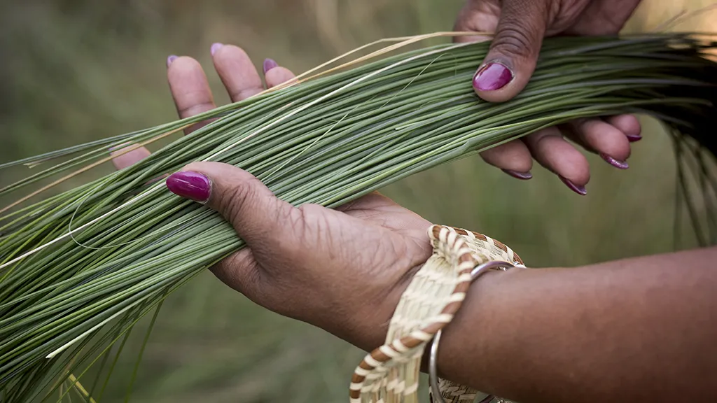 Sweetgrass