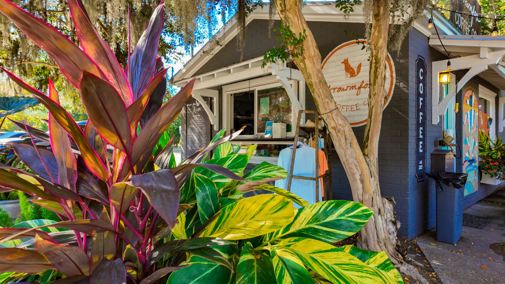 BROWN FOX COFFEE (SIMMONS STREET)