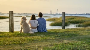 A couple sitting with their dog looking at the sunset