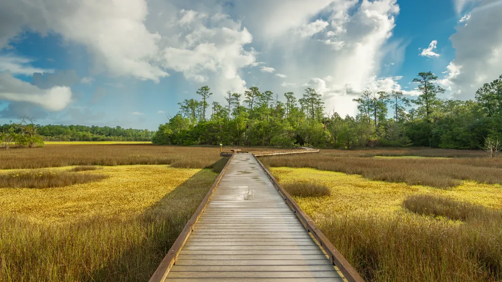 Palmetto Islands County Park