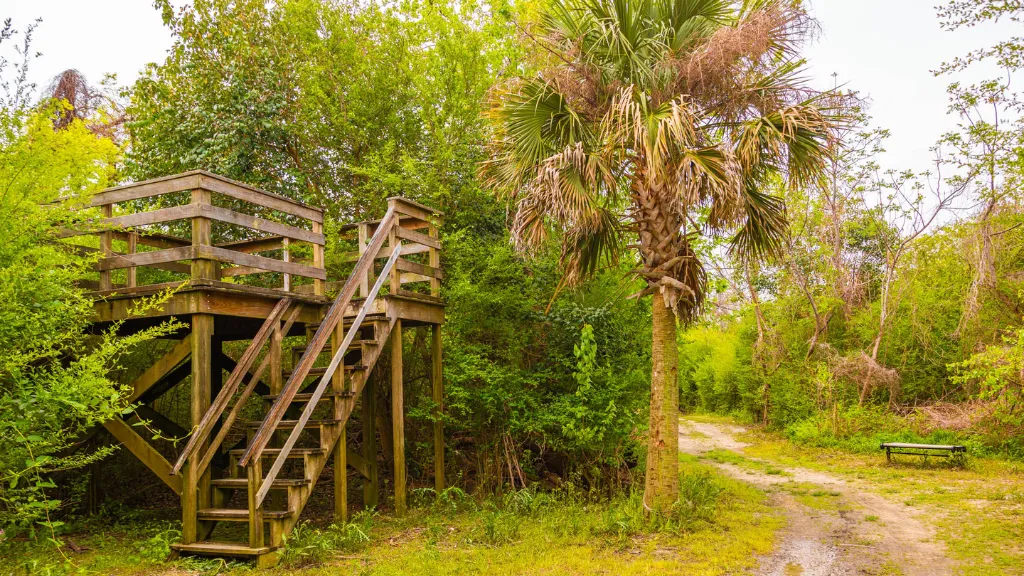 Patriots Point Nature Trail