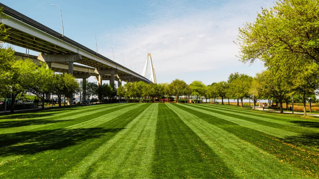 memorial waterfront park field