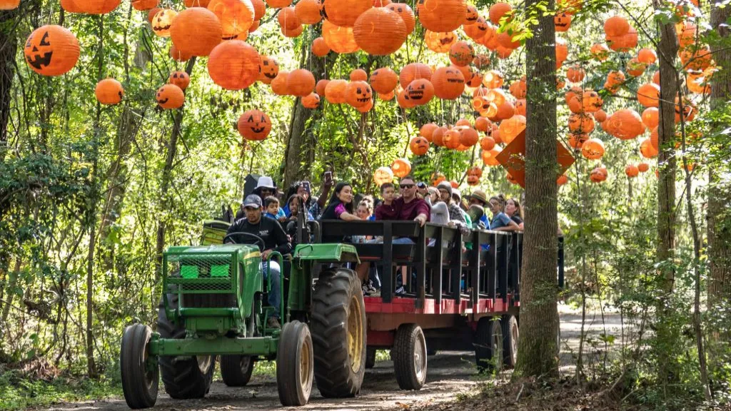 Fall Events Pumpkin Patch