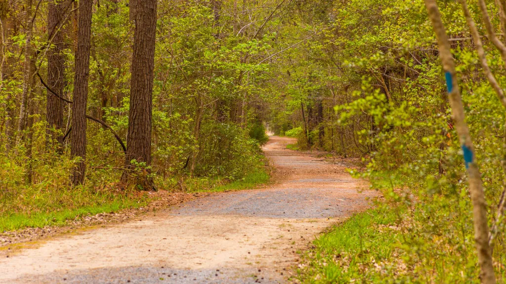 Laurel Hill County Park