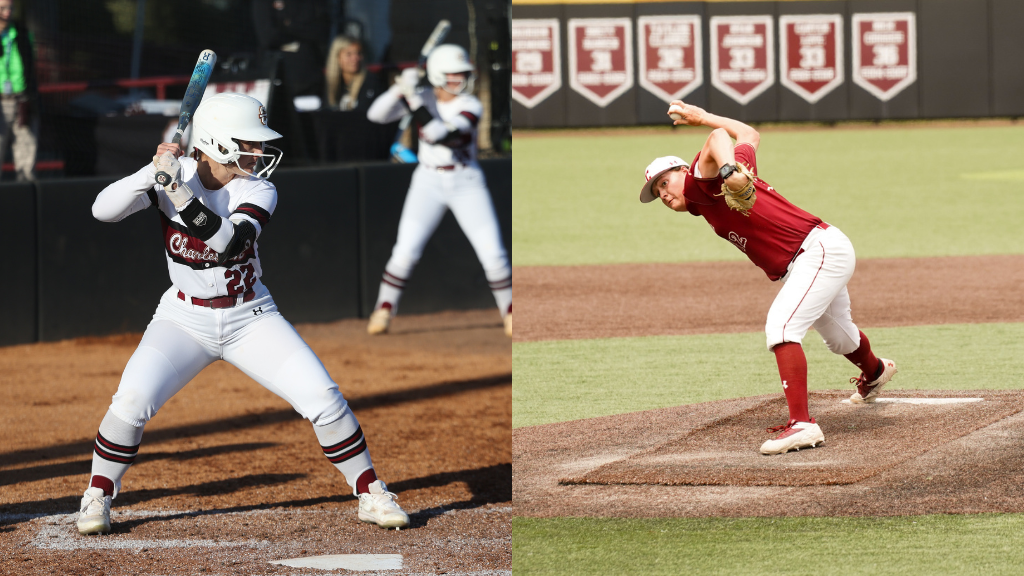 CofC Softball Baseball