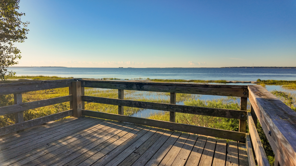 Hog Island Trail & Observation Deck