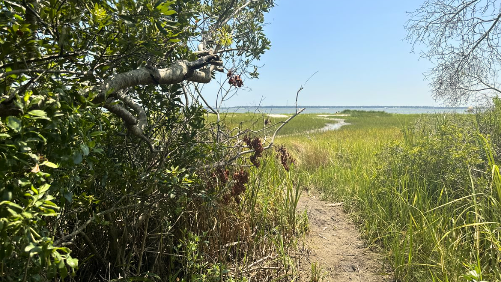 Hog Island Trail