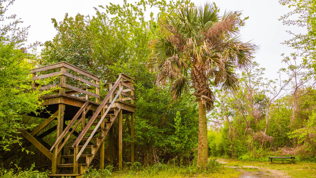Patriots Point Nature Trail