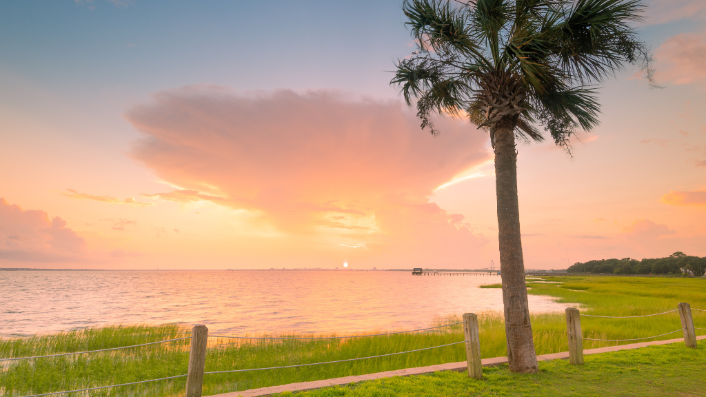 Pitt Street Bridge sunset