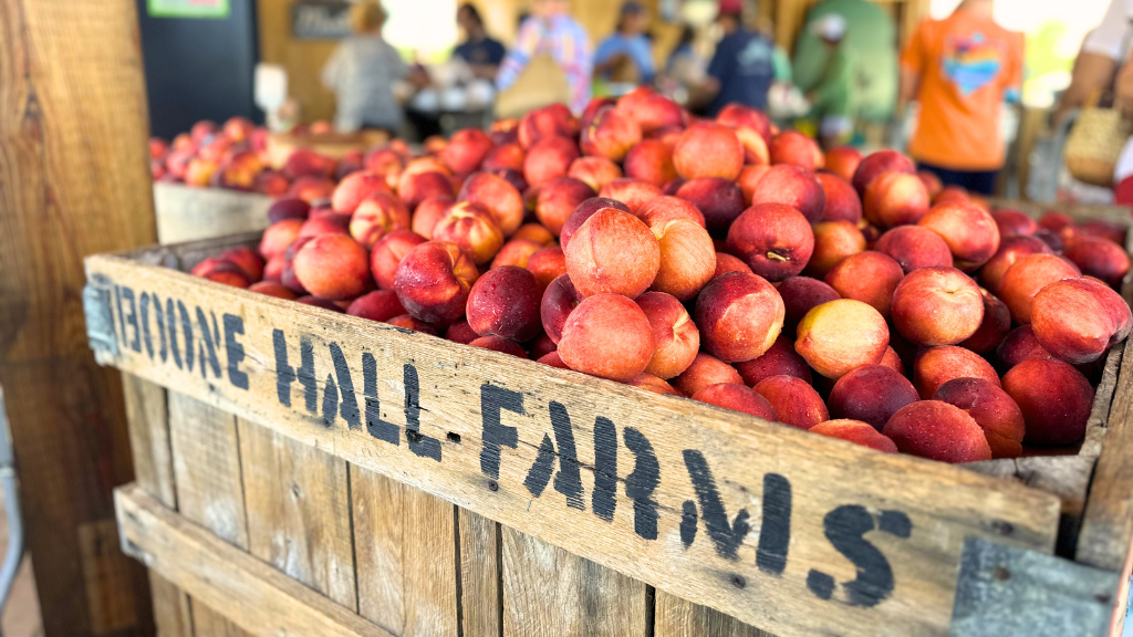 Willies Roadside Market_2